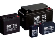 FG Economy VRLA Batteries